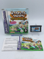 Preview: Harvest Moon: Friends of Mineral Town
